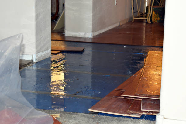 Professional Sewage Cleanup technician working in Golden, MS